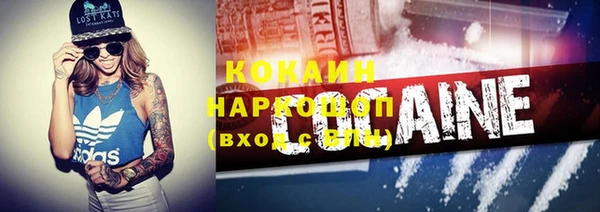 гидра Протвино