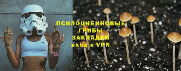 молекула духа Приозерск