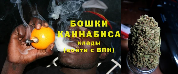 гидра Протвино
