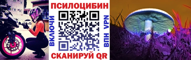 Псилоцибиновые грибы Cubensis  kraken онион  Десногорск 